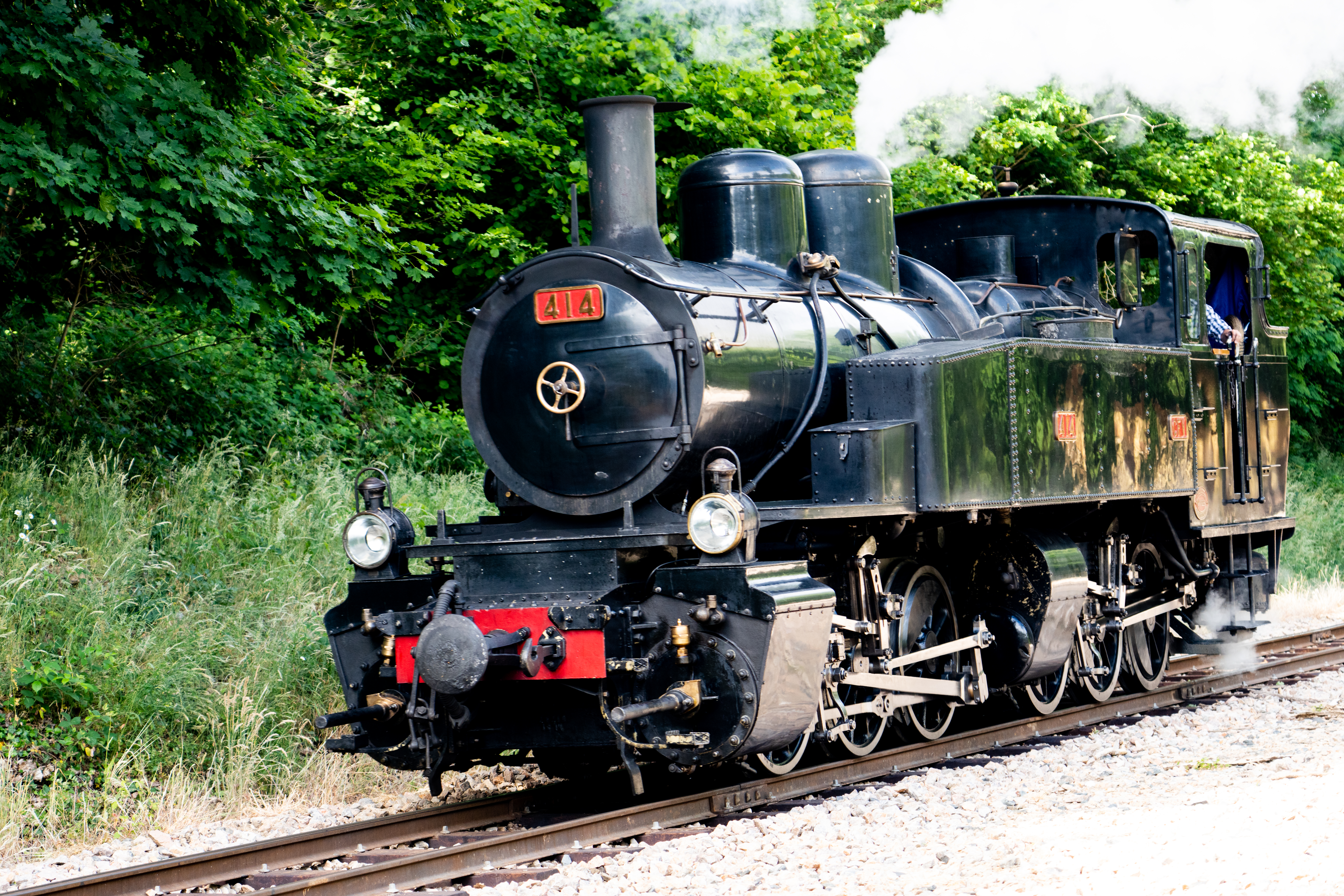 This image has an empty alt attribute; its file name is DSC02899.jpg